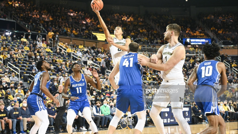 Assessing Caleb Houstan, Jeenathan Williams, and Hunter Dickinson